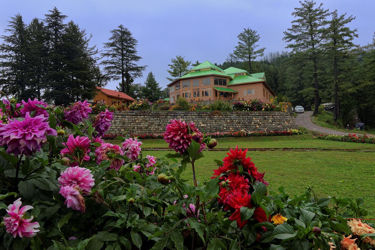 Hotel Arcadian Sprucewoods Shogran Exterior foto